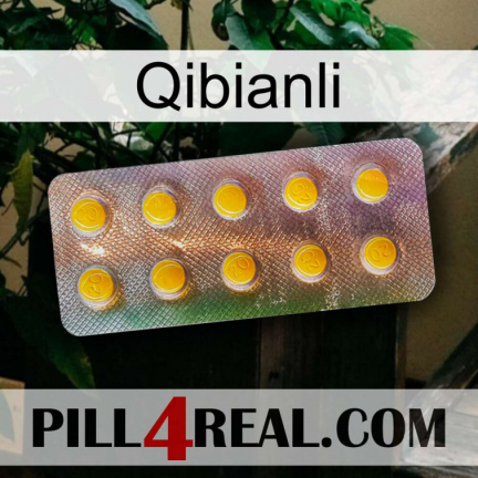 Qibianli new11